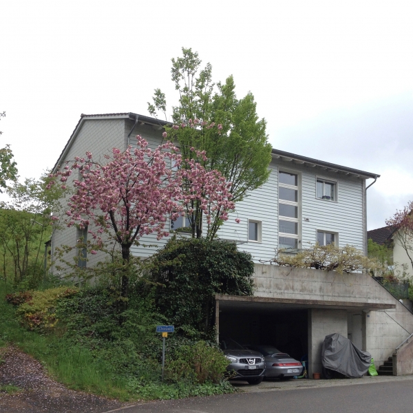 03_01_efh gebenstorf_5